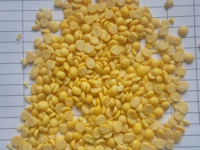 大豆低溫脫溶設(shè)備